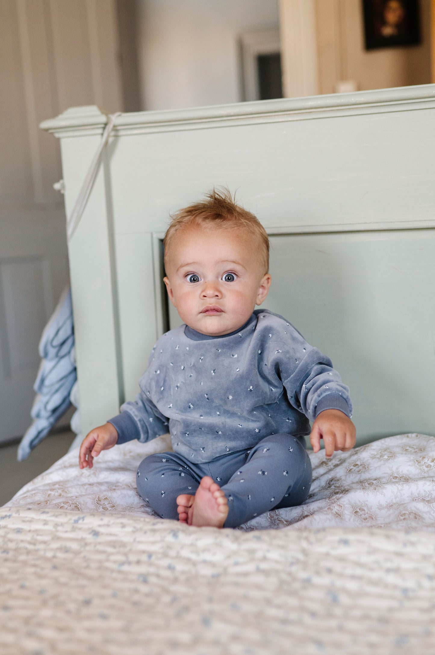 Velour Cluster Leaf Velour Top and cotton legging Lounge Set