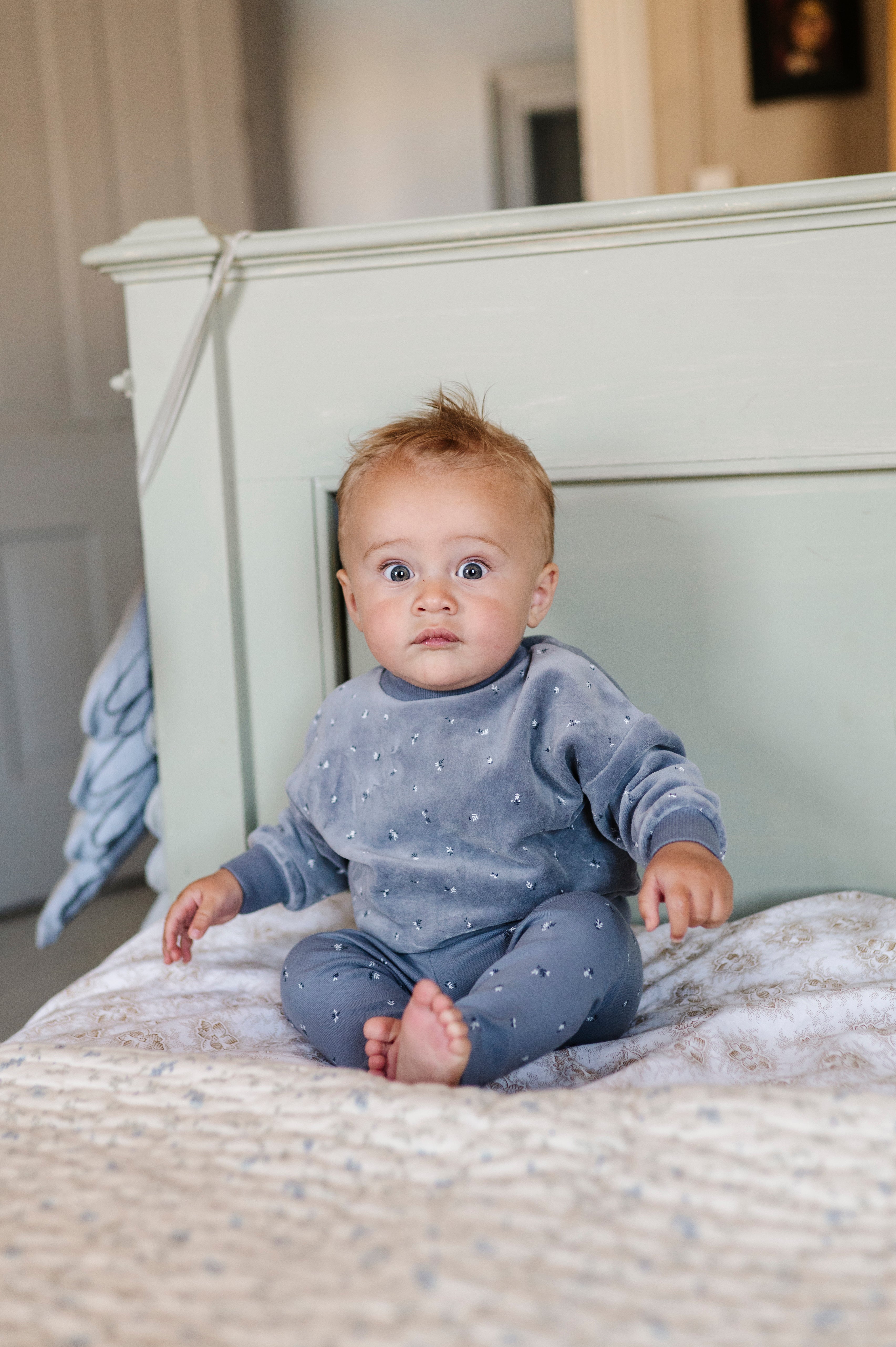 Velour Cluster Leaf Velour Top and cotton legging Lounge Set